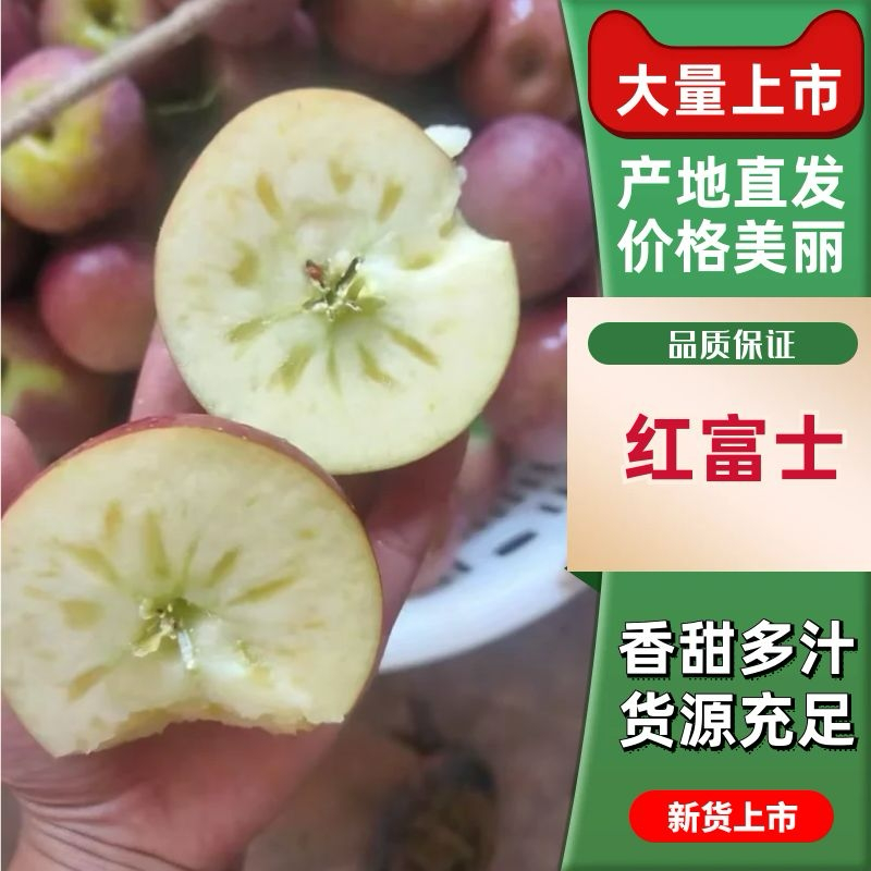 红富士苹果，专业代办。大凉山盐源苹果，丑苹果