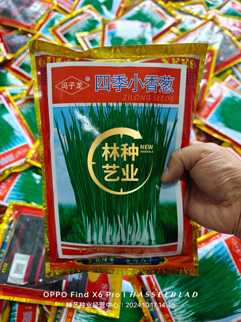 香葱种子四季小香葱种子四季可播阳台盆栽农家田园易活蔬菜种
