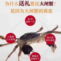 大闸蟹全国发货，大量从优，欢迎电话联系沟通洽谈
