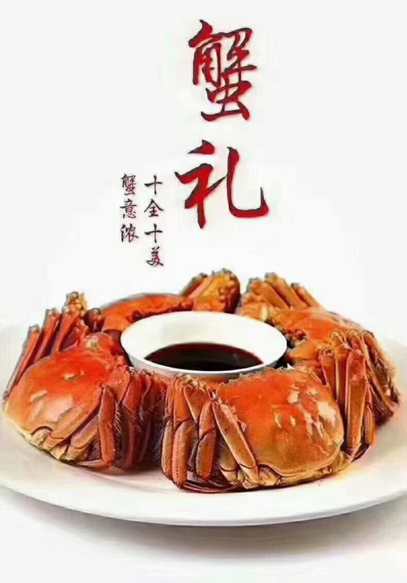 大闸蟹全国发货，大量从优，欢迎电话联系沟通洽谈
