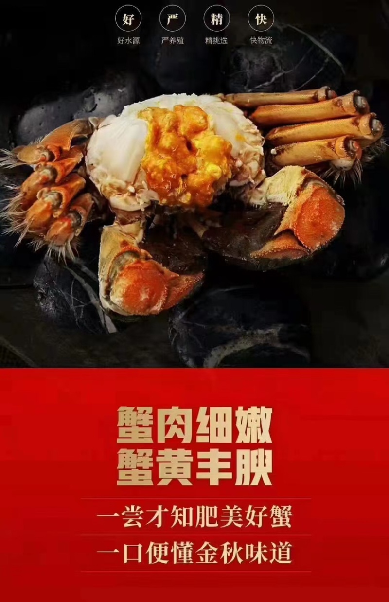 大闸蟹全国发货，大量从优，欢迎电话联系沟通洽谈
