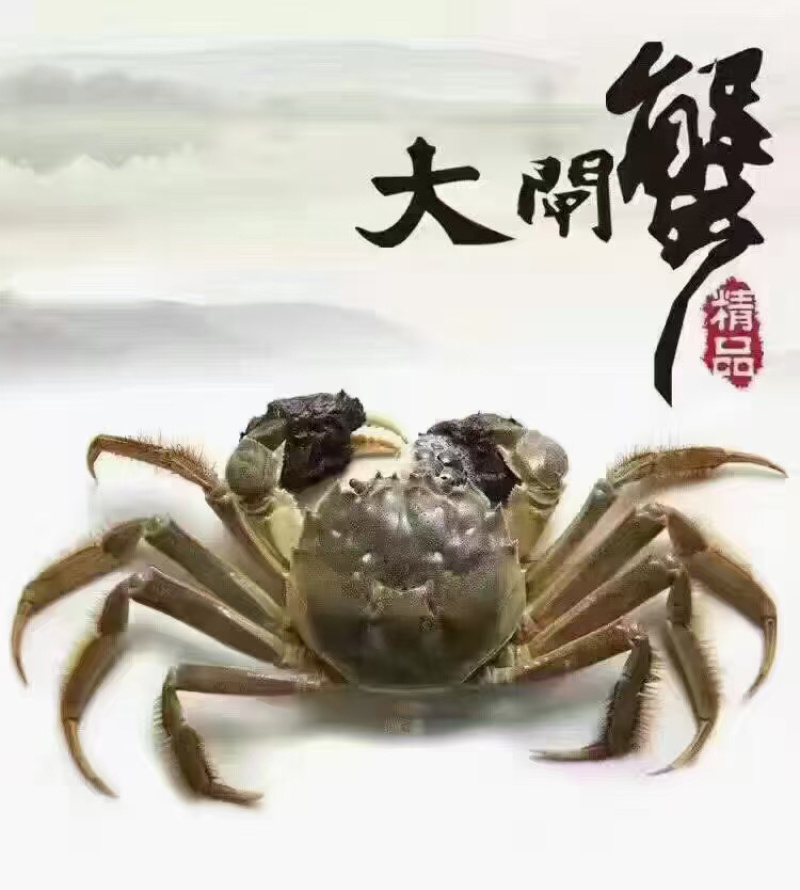大闸蟹全国发货，大量从优，欢迎电话联系沟通洽谈
