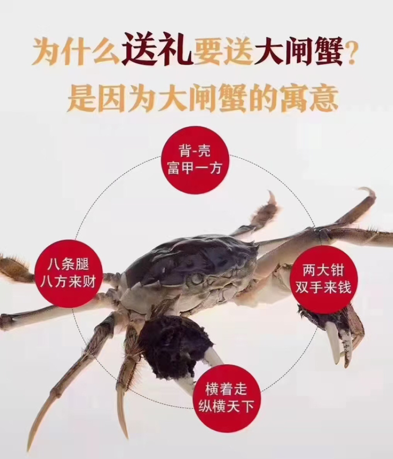 大闸蟹全国发货，大量从优，欢迎电话联系沟通洽谈