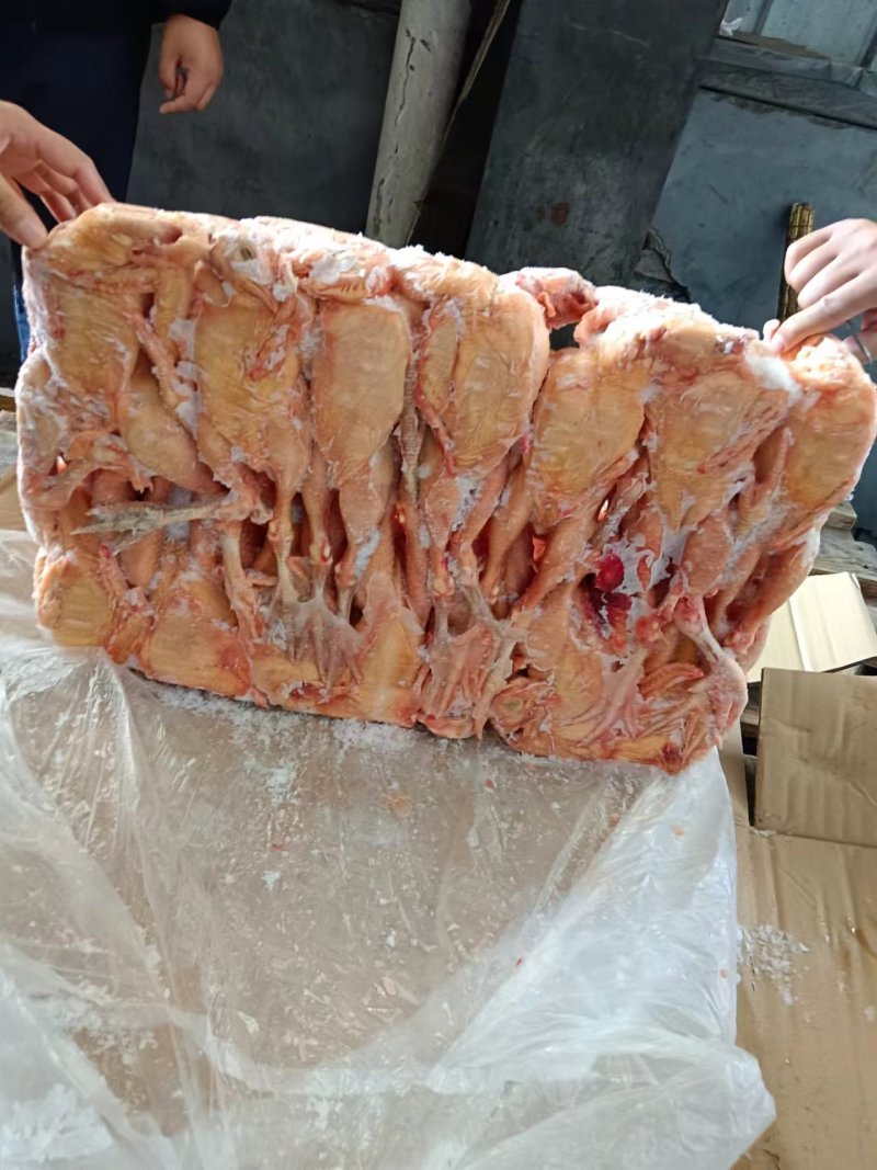 700-800克三黄鸡