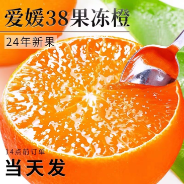 【爱媛橙】果园现摘直发，对接各种渠道供货，一件也是批发价