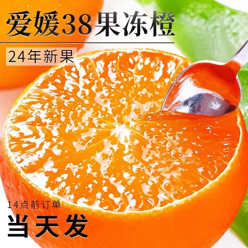 【爱媛橙】果园现摘直发，对接各种渠道供货，一件也是批发价