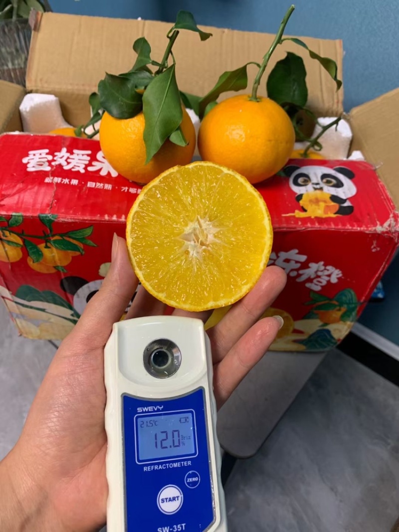 【爱媛橙】果园现摘直发，对接各种渠道供货，一件也是批发价