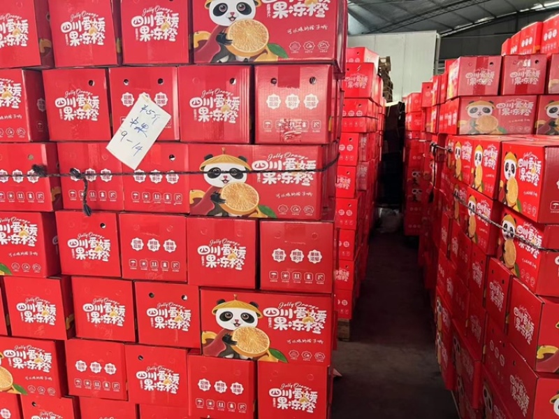 【爱媛橙】果园现摘直发，对接各种渠道供货，一件也是批发价