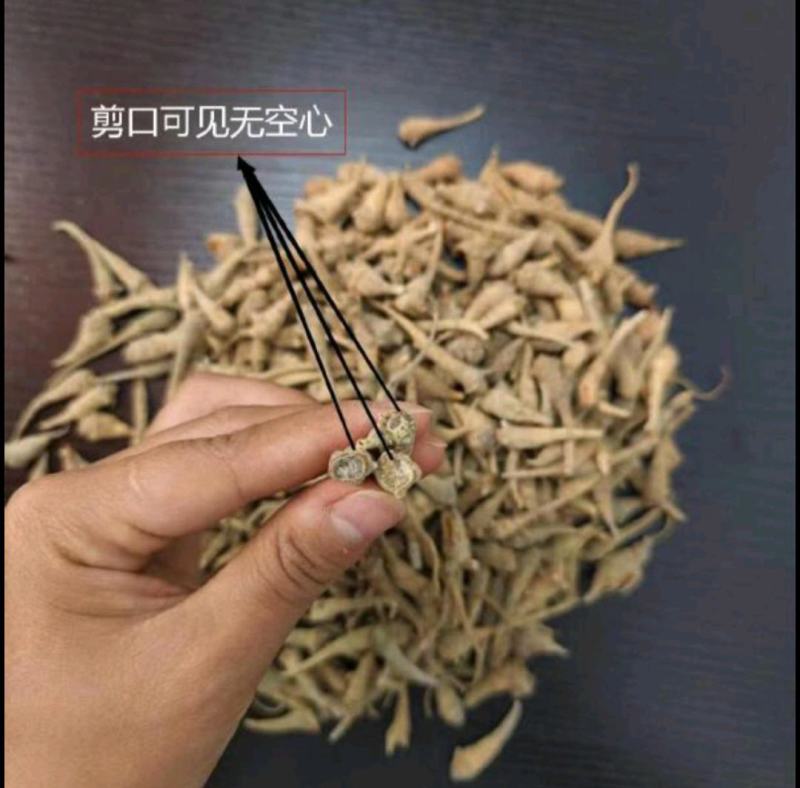 七米山云南文山三七小籽条(虎牙三七)