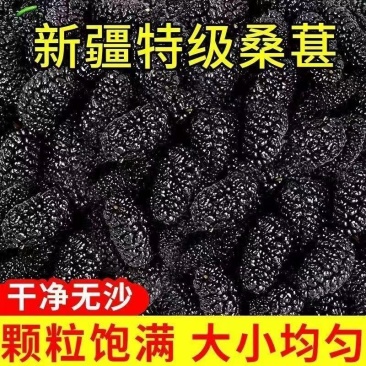 新疆桑椹