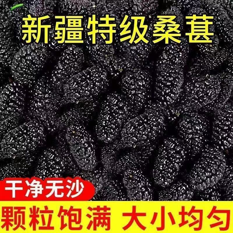新疆桑椹