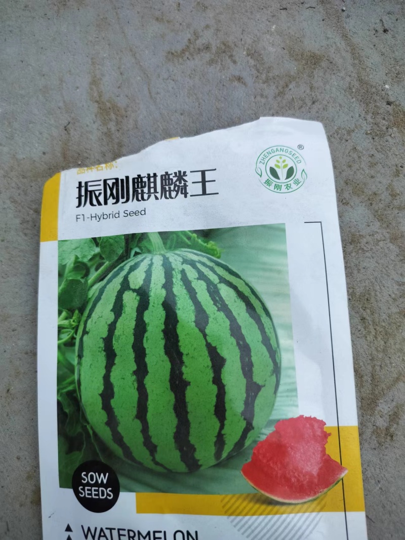 西瓜苗，品种齐全，支持全国发苗