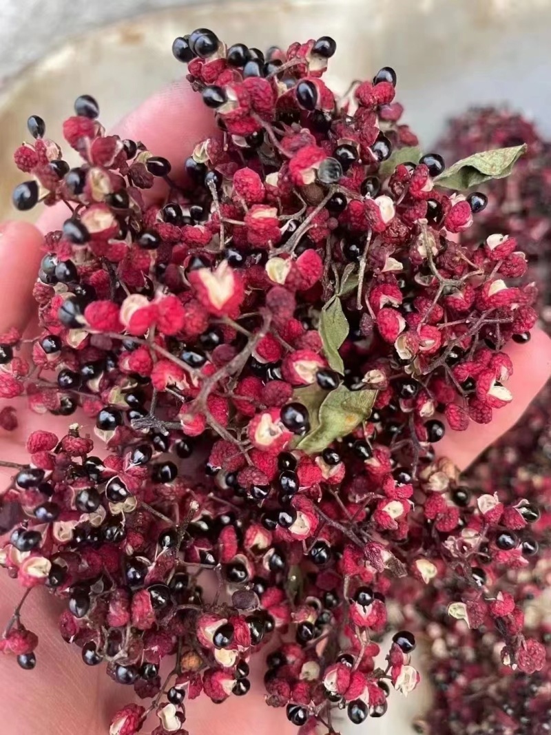 汉源红花椒大量供应中，批发，零售大量接单中。