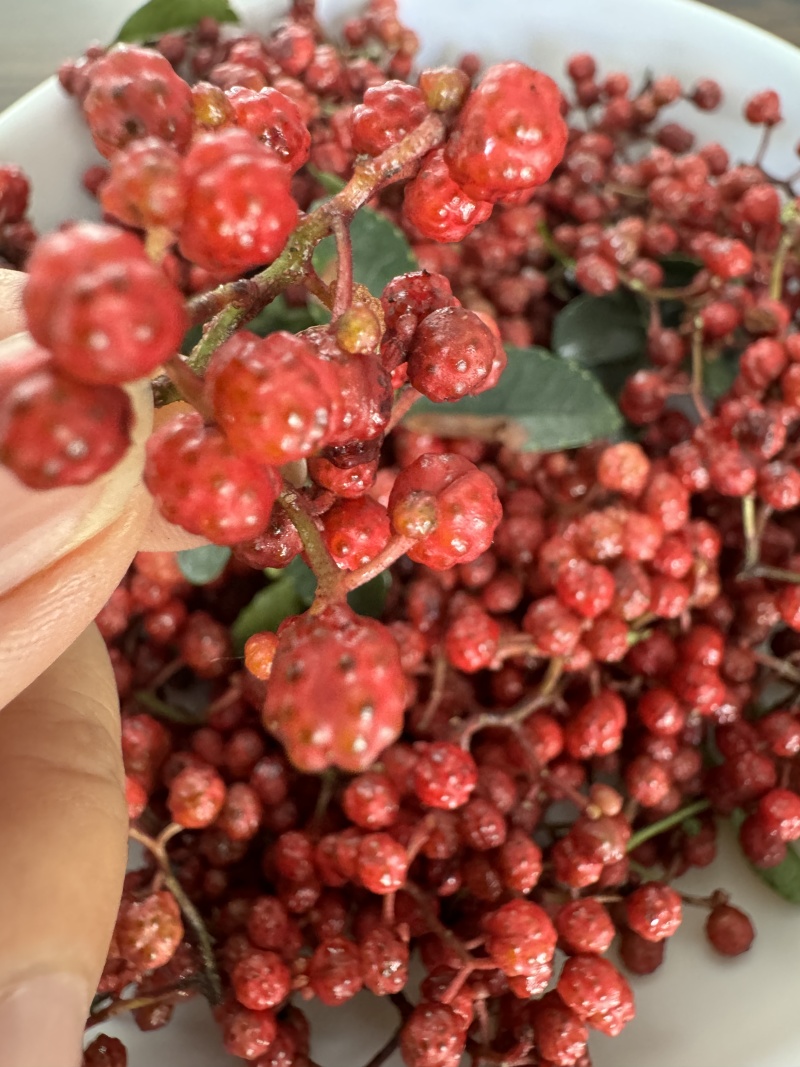 汉源红花椒大量供应中，批发，零售大量接单中。