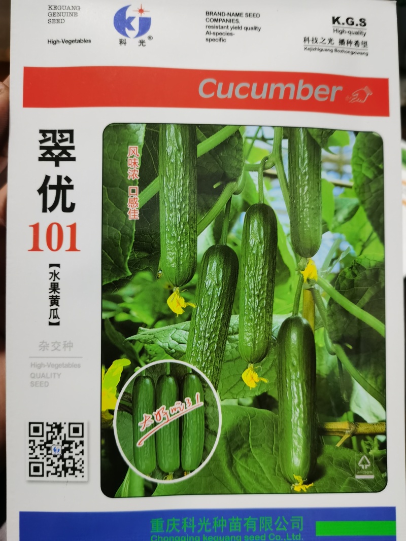 翠优1号3号君优1号珍白系列水果黄瓜种子