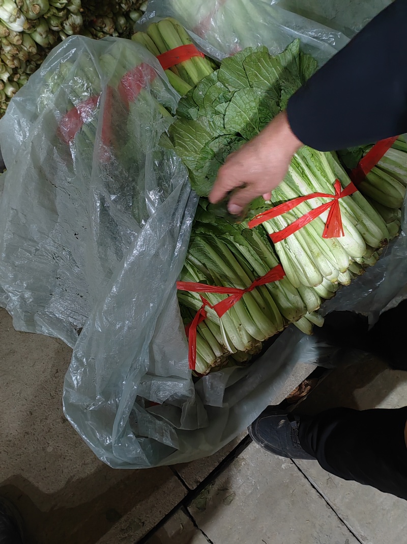 小白菜有需要的可以联系我有市场货有电商货