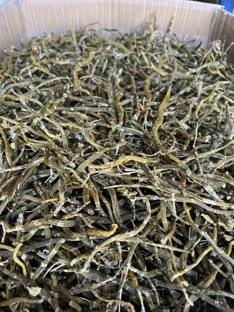野生珍虫石斛条精选整根全干货霍山石斛枫斗