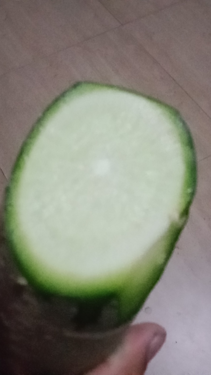 大青罗卜