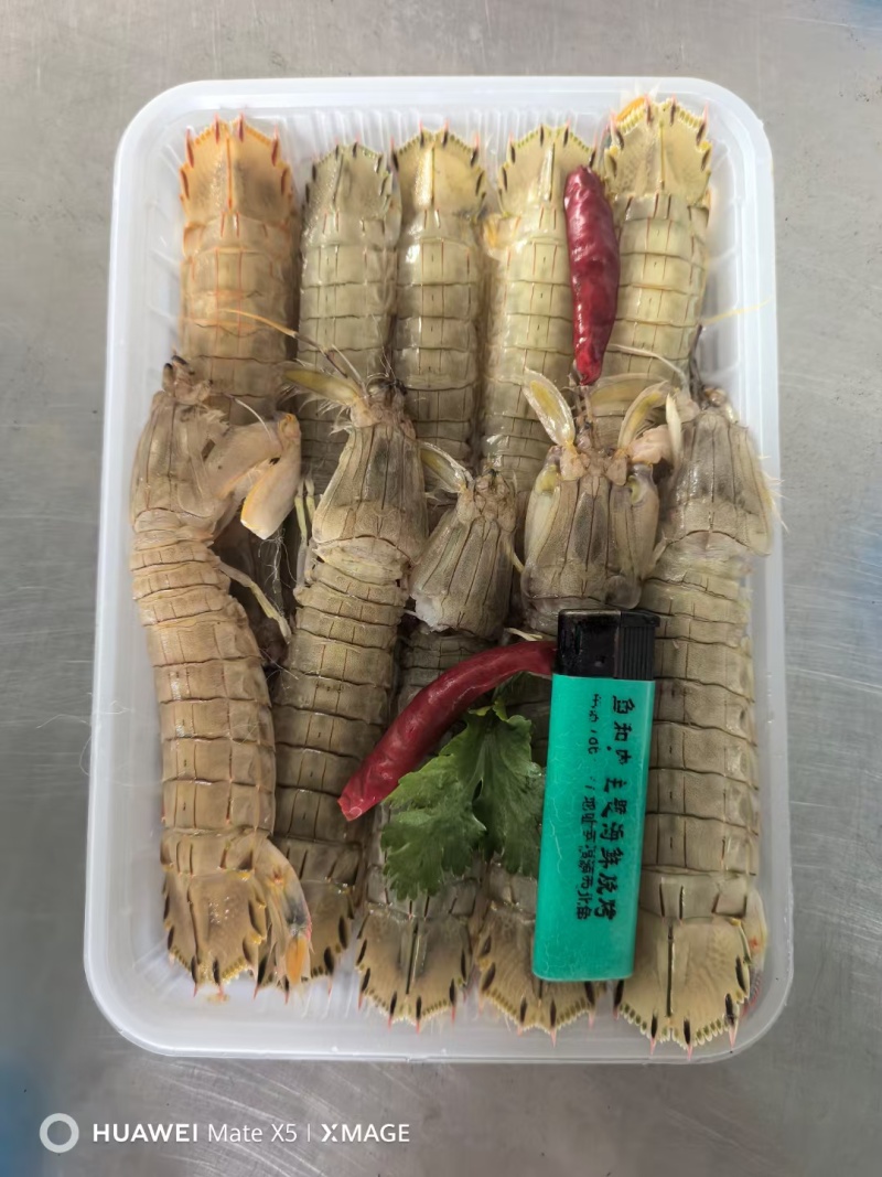 皮皮虾，特制腌虾爬子，个个肥，味道鲜美，常年有货，欢迎咨
