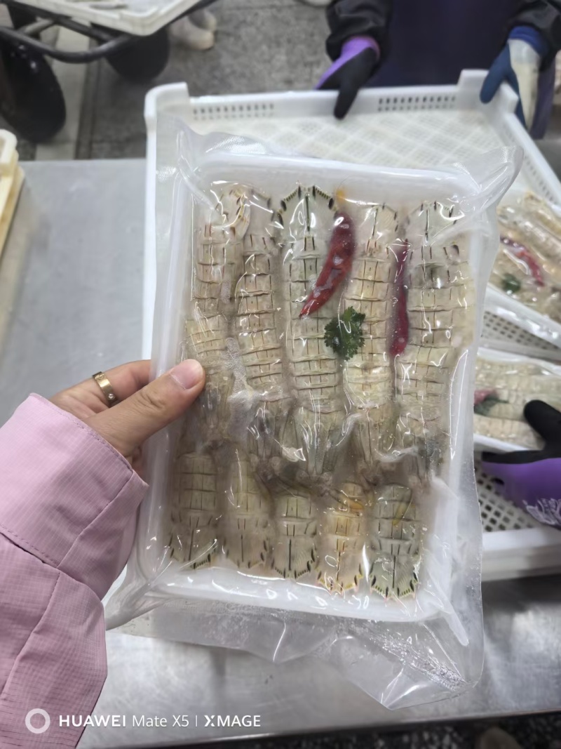 皮皮虾，特制腌虾爬子，个个肥，味道鲜美，常年有货，欢迎咨
