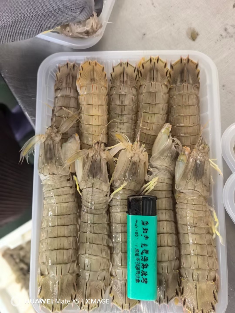 皮皮虾，特制腌虾爬子，个个肥，味道鲜美，常年有货，欢迎咨