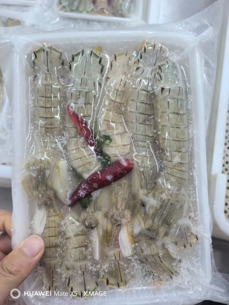 皮皮虾，特制腌虾爬子，个个肥，味道鲜美，常年有货，欢迎咨