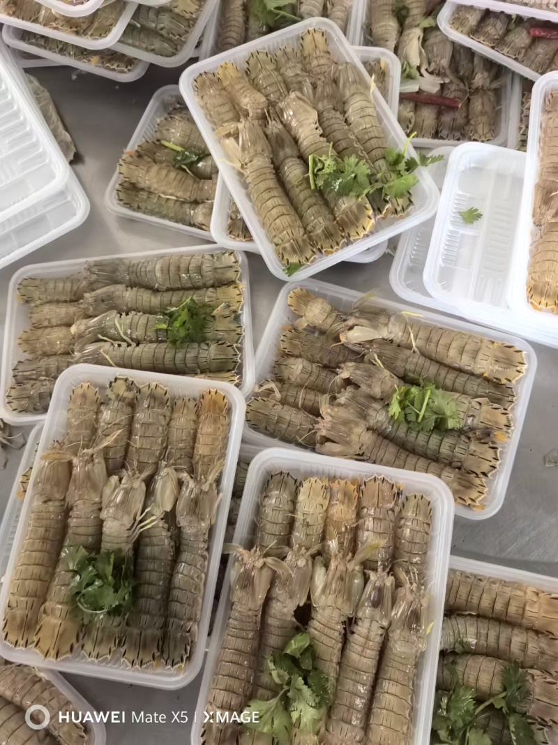 皮皮虾，特制腌虾爬子，个个肥，味道鲜美，常年有货，欢迎咨