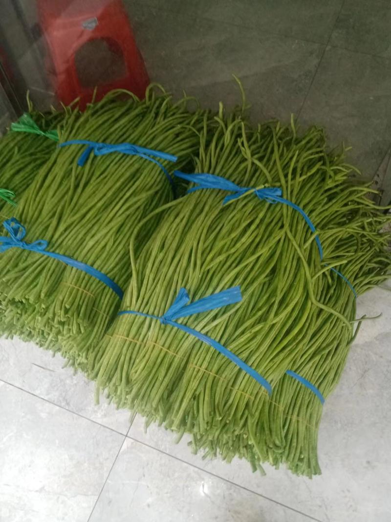 大量精选豆角王中王产地直供！现摘现发保证质量不满意包退！