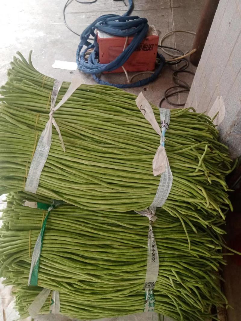 大量精选豆角王中王产地直供！现摘现发保证质量不满意包退！