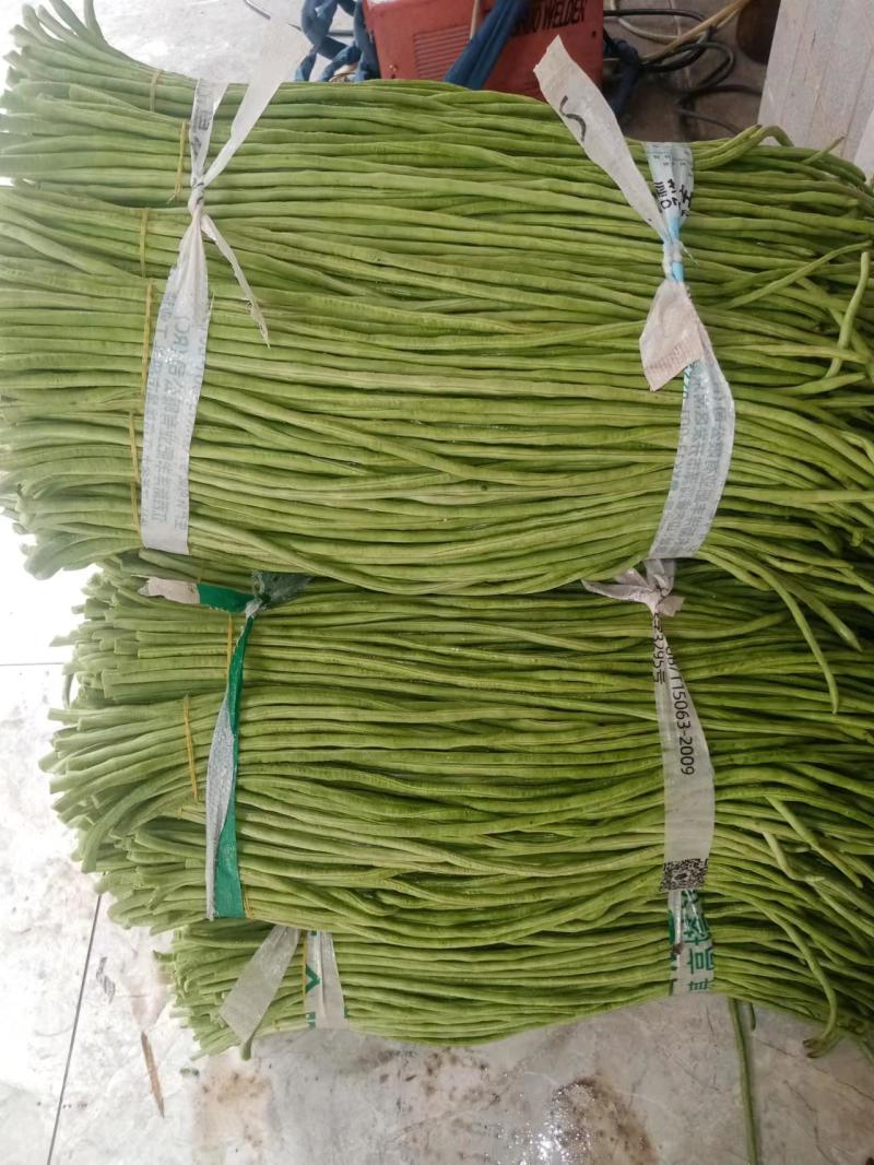 大量精选豆角王中王产地直供！现摘现发保证质量不满意包退！
