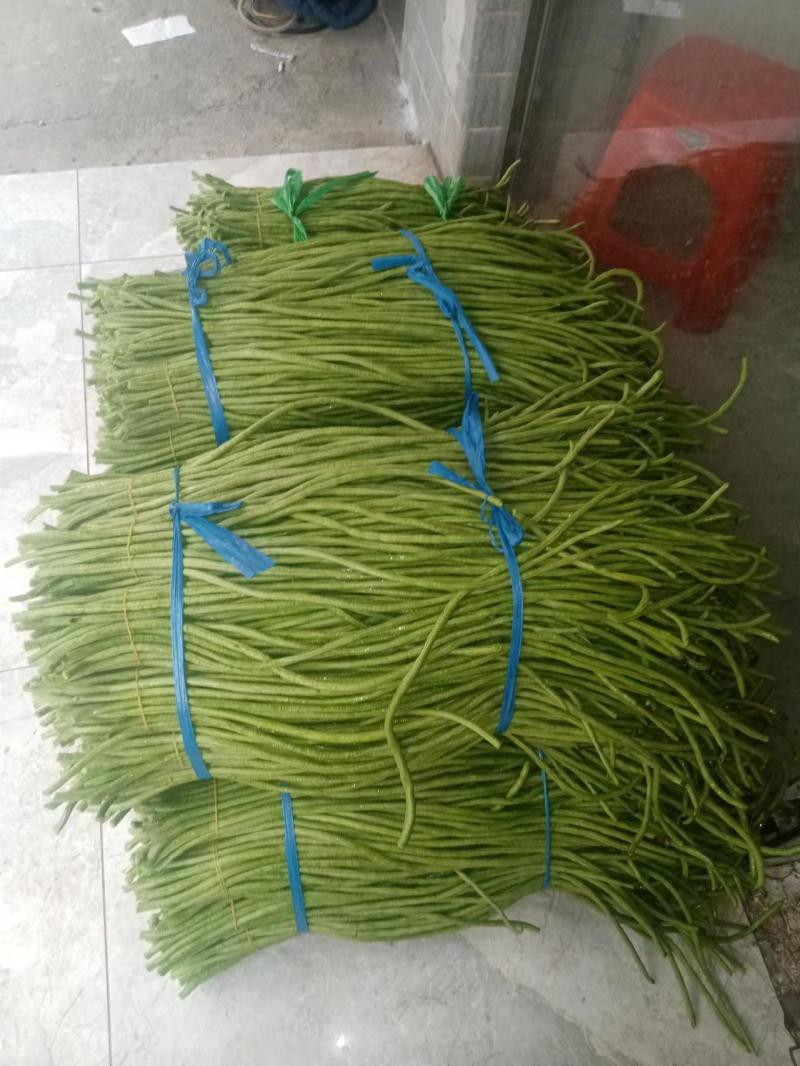 千亩精品豆角发全国！基地直供一手货源！质量好！不满意包退