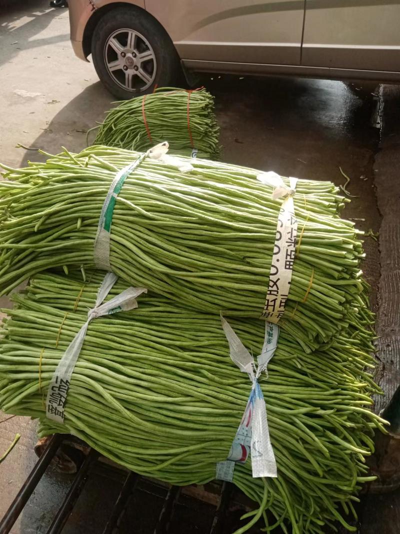 千亩精品豆角发全国！基地直供一手货源！质量好！不满意包退