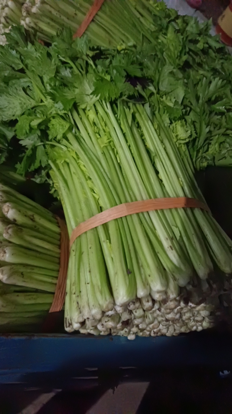 徐州小西芹，黄亮，大棚菜，地头发货全国供应