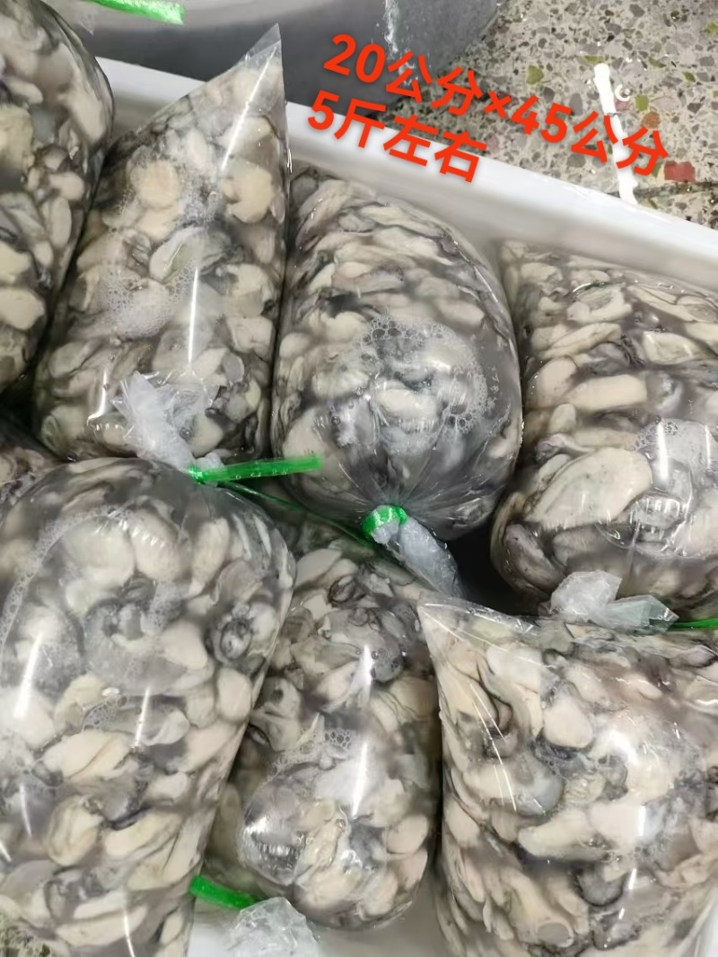 蚝肉每天现开，大量供应