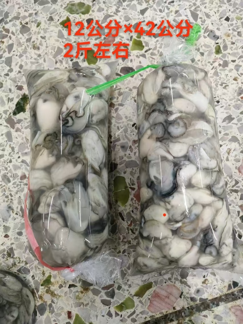 蚝肉每天现开，大量供应