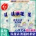 厂家直销山茶花香氛洗衣液深层去渍持久留香呵护双手浓香型可代发