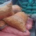 浙江台州山水老菱角新鲜香甜粉糯现摘现发