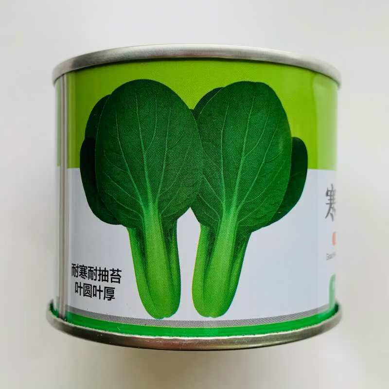 德赛寒美美青梗菜种子耐寒抗病力强青菜种子叶柄翠绿高产蔬菜