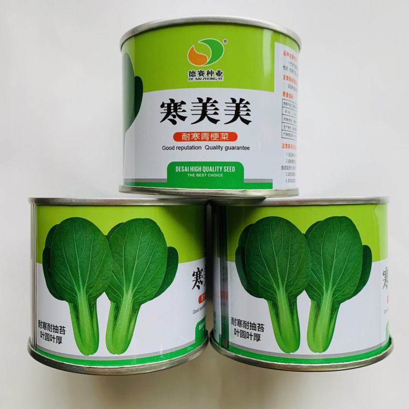 德赛寒美美青梗菜种子耐寒抗病力强青菜种子叶柄翠绿高产蔬菜