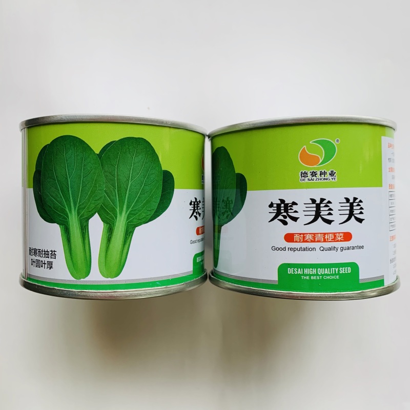 德赛寒美美青梗菜种子耐寒抗病力强青菜种子叶柄翠绿高产蔬菜
