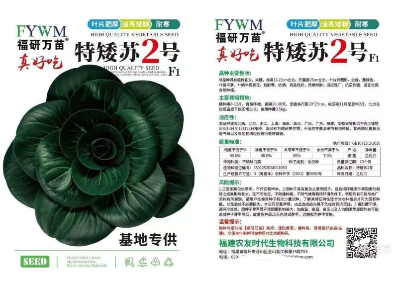 特矮苏青菜，叶片肥厚，油亮，特矮，适合浙江那边市场。