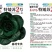 特矮苏青菜，叶片肥厚，油亮，特矮，适合浙江那边市场。