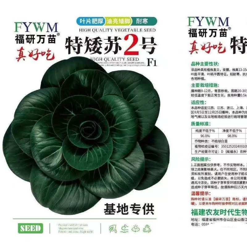 特矮苏青菜，叶片肥厚，油亮，特矮，适合浙江那边市场。