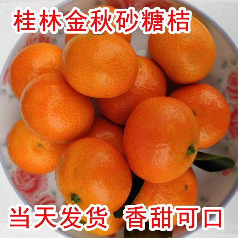 【正宗沙糖桔】广西沙糖桔/自家种植/供应市场电商