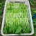 广东菜心，物美价廉，诚信经营，货源充足稳定，欢迎来电