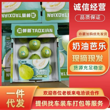 奶油芭乐，送礼优选奶酪芭乐只打精品礼盒可供市场电商商超
