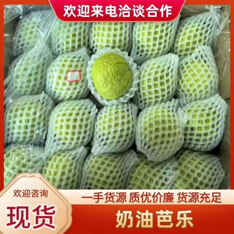 奶油芭乐，送礼优选奶酪芭乐只打精品礼盒可供市场电商商超