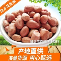 白沙花生米批发大颗粒当季新花生新货五谷杂粮去壳花生