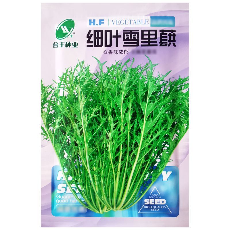 雪里红种子雪菜咸菜种子农家秋季播蔬菜种子大叶小叶雪里蕻种