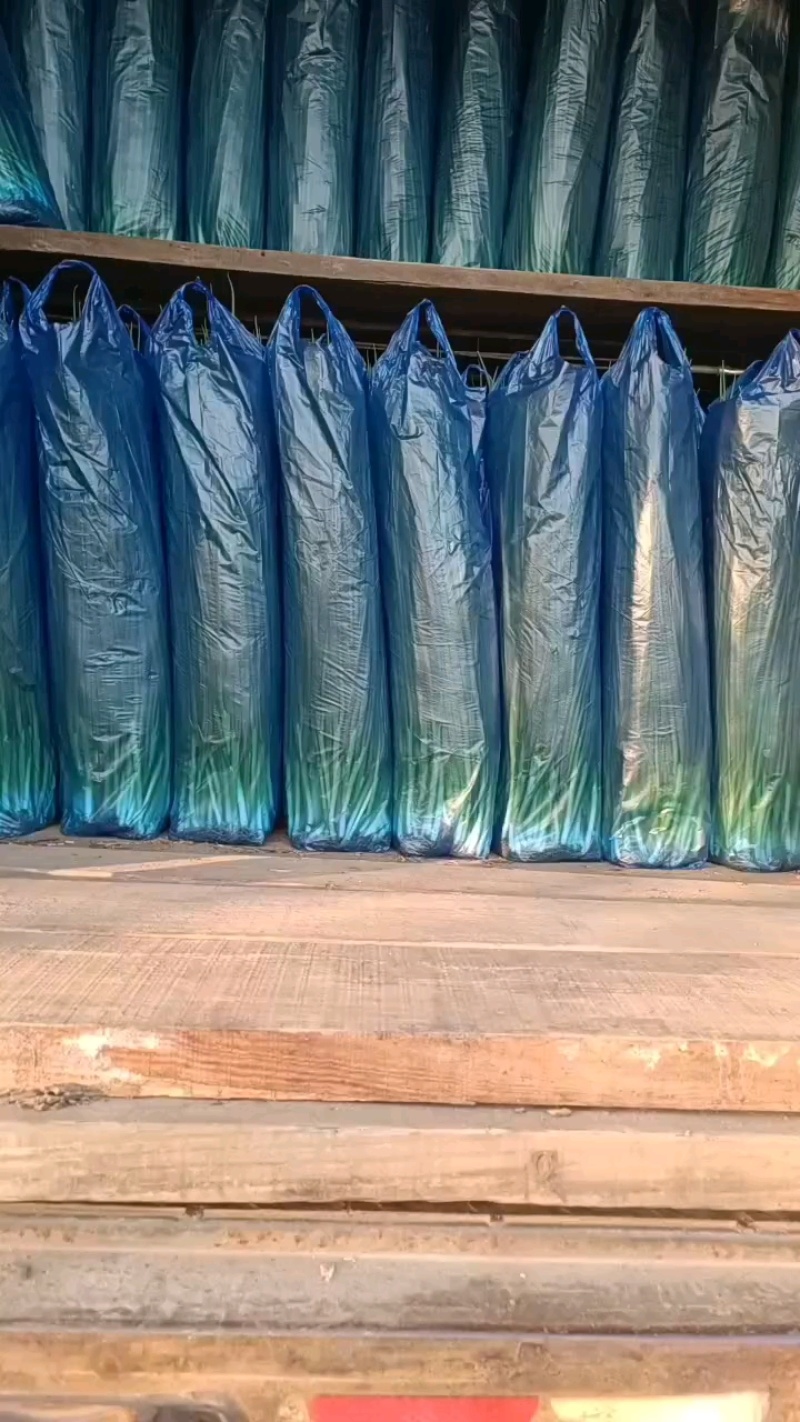 吉林省公主岭怀德香葱基地货源充足，量大从优，诚信经营